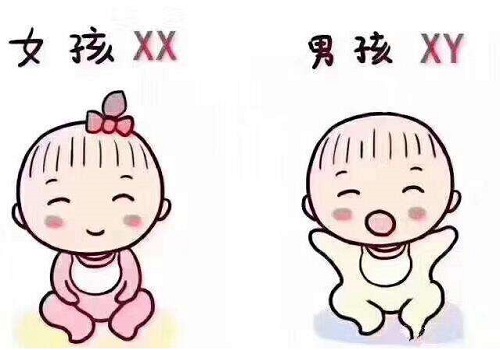 试管婴儿冷冻胚胎移植成功率比新鲜胚胎高吗？